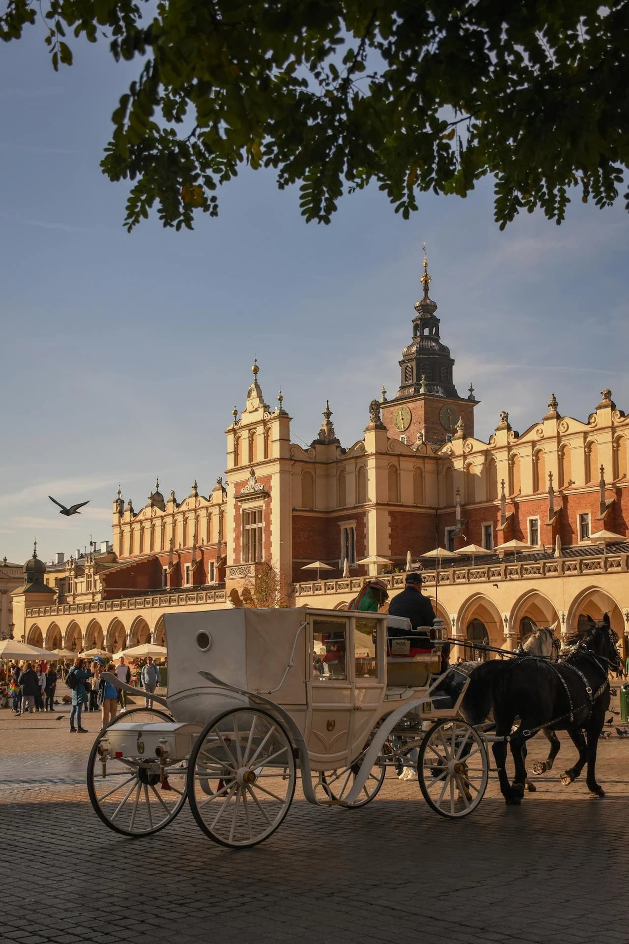 zdjęcie przedstawiające miasto 31-105 Kraków